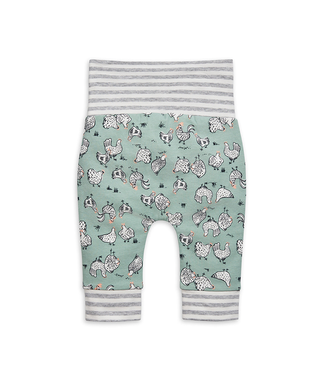 Leggings Chicken Run Olive