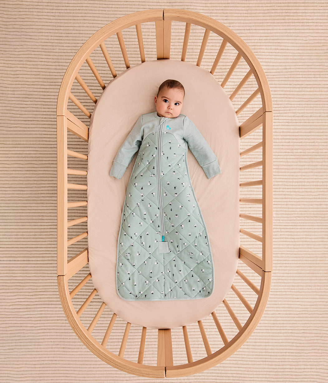 Boxing Week Sleep Bag Bundle | 2.5 TOG | Olive Lamb | Storm Blue Pebble 2