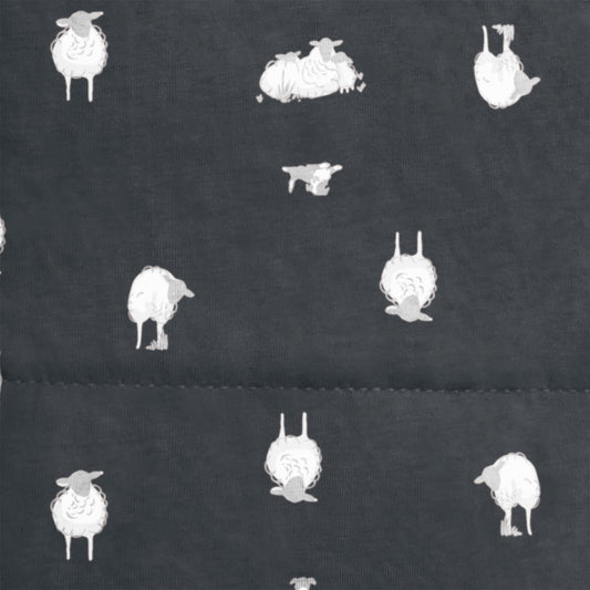 Swaddle Up™ Transition Bag 2.5 TOG Organic Cotton/Merino Wool Charcoal Lamb's Best Friend