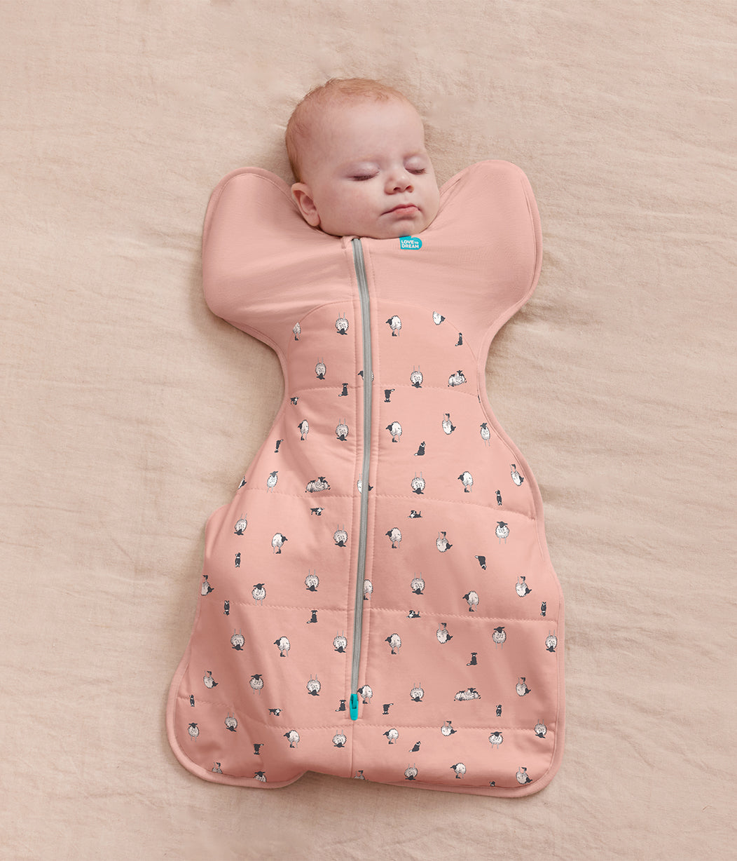 Boxing Week Swaddle Up Starter Bundle | 2.5 TOG | Charcoal | Rose Lamb 2