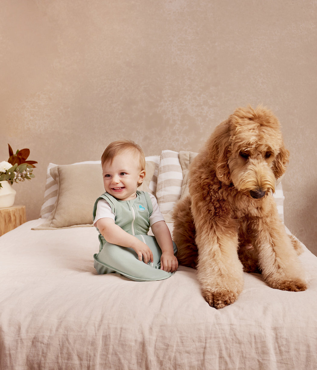 Swaddle Up™ Transition Bag 0.2 TOG Cotton Olive